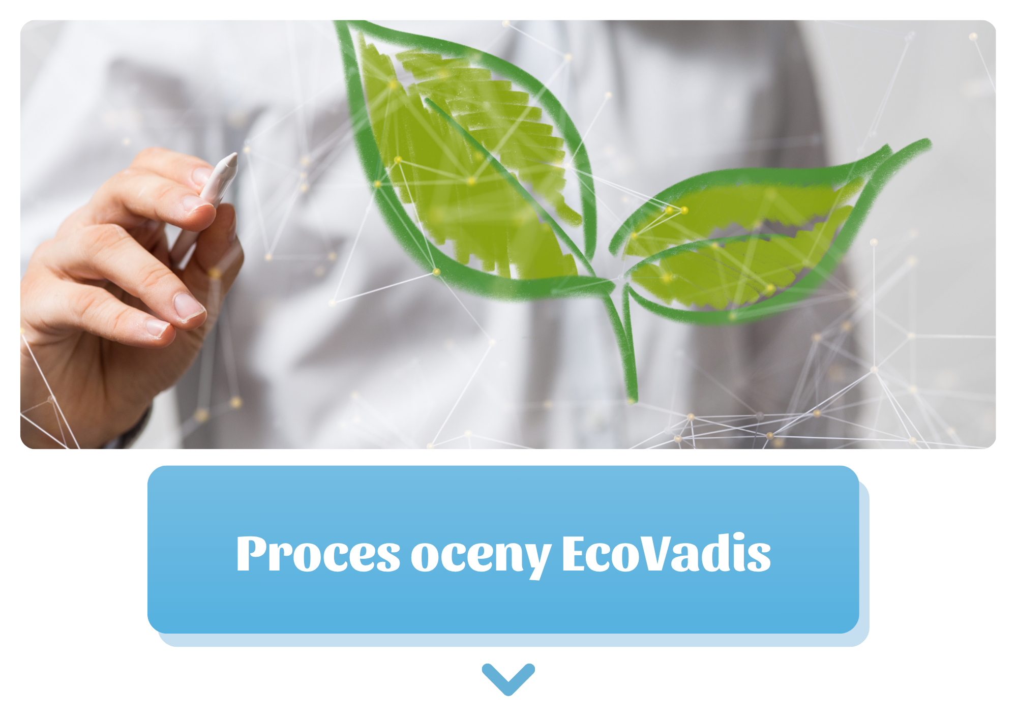 EcoVadis